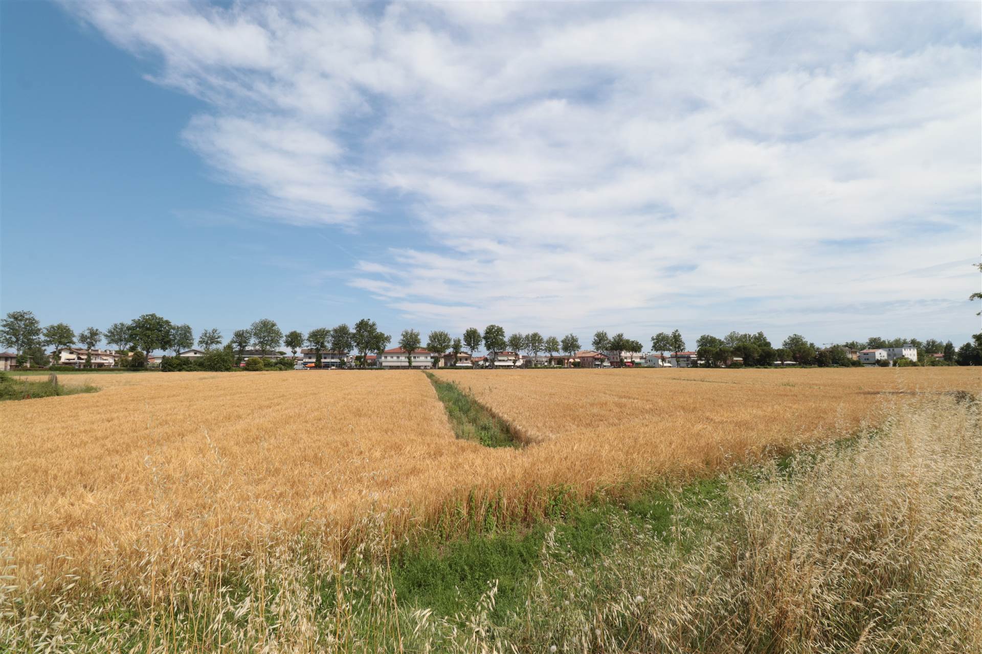 3 ettari di terreno tra Jesolo lido e Jesolo Paese